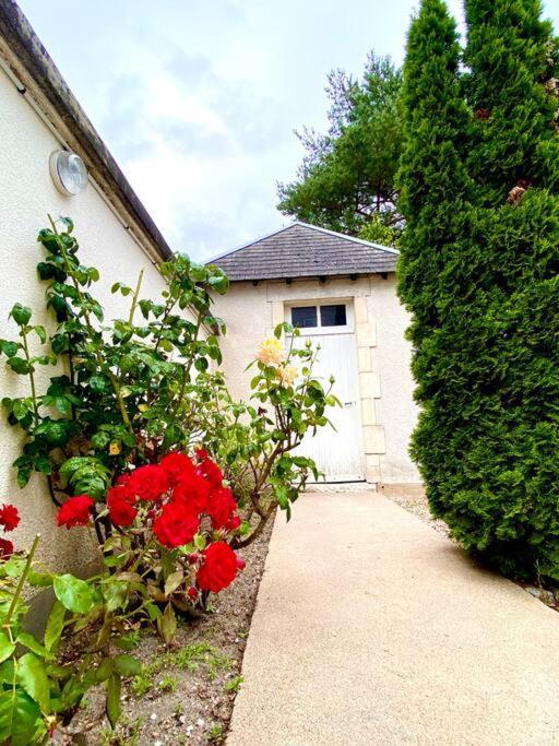 Villa Demeure St Martin Vierzon Exterior foto